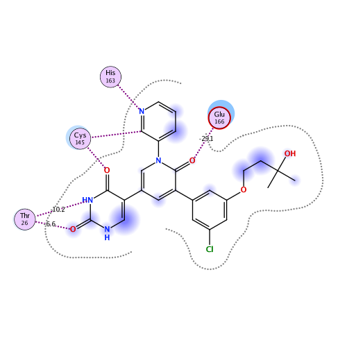 ligand interaction