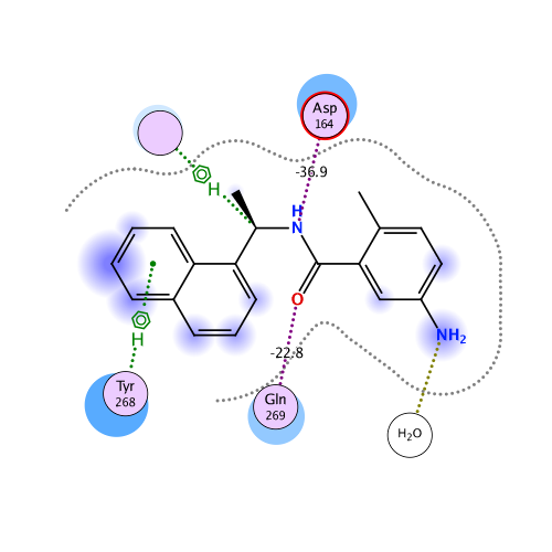 ligand interaction