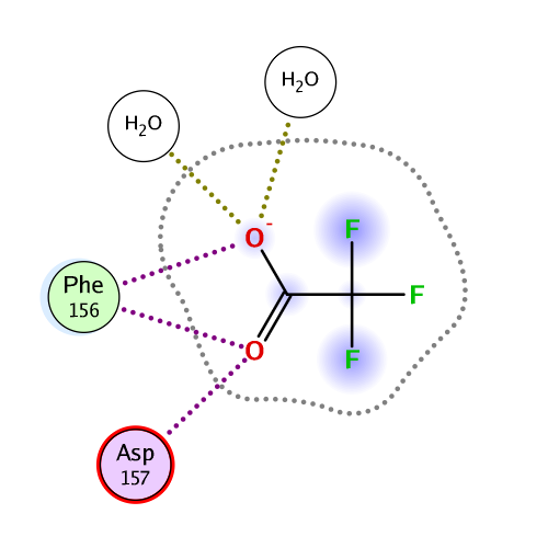 ligand interaction