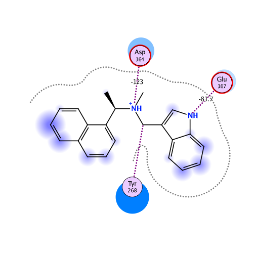 ligand interaction