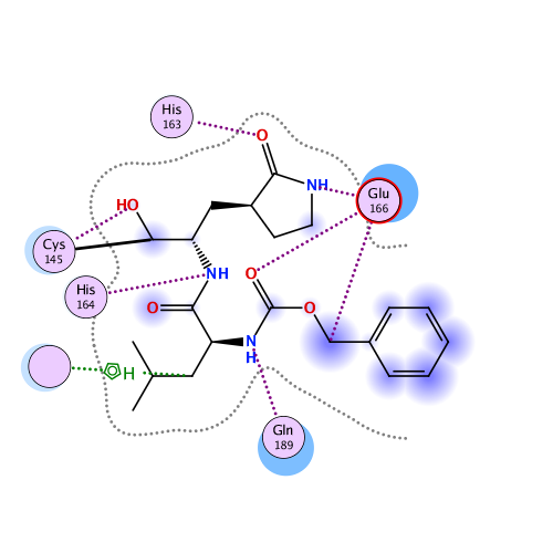 ligand interaction