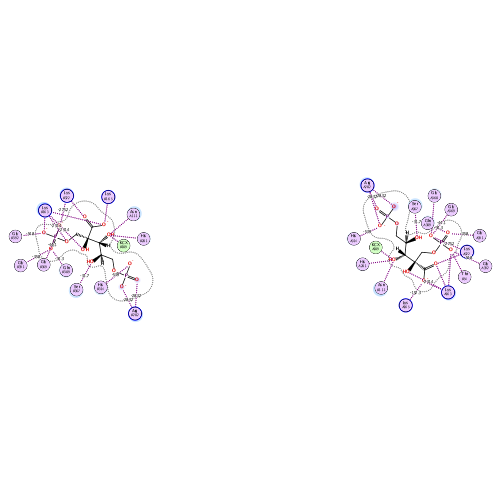 ligand interaction