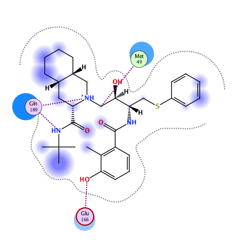 ligand interaction