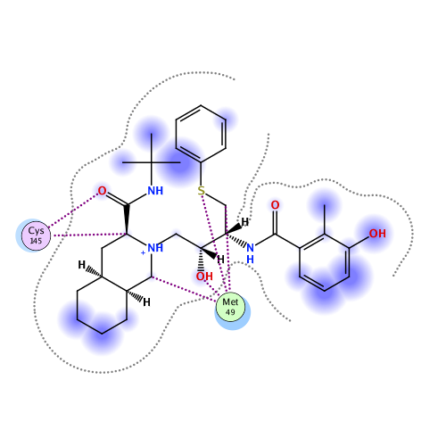 ligand interaction