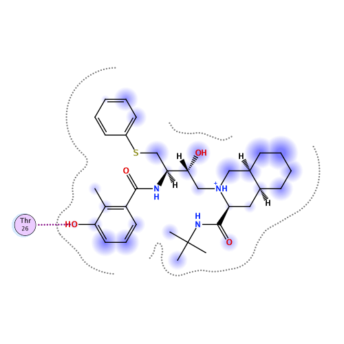 ligand interaction
