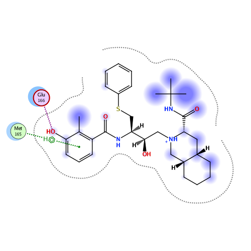 ligand interaction