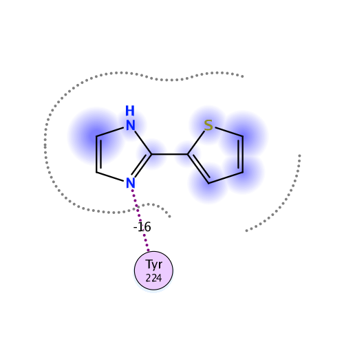 ligand interaction