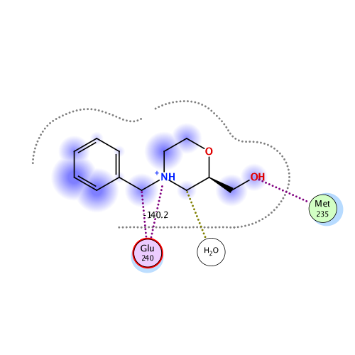 ligand interaction
