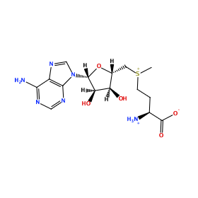 ligand structure