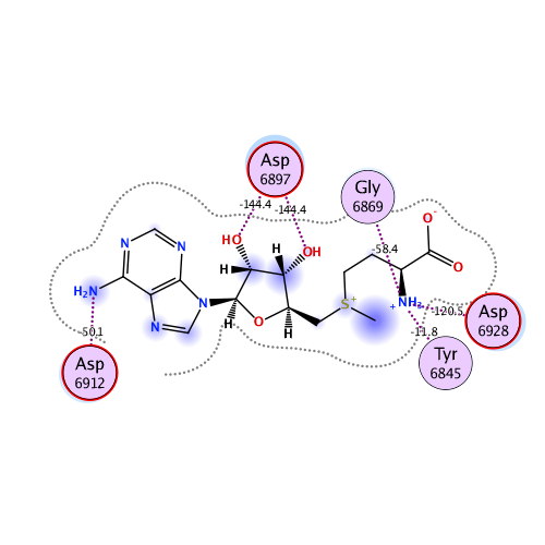 ligand interaction