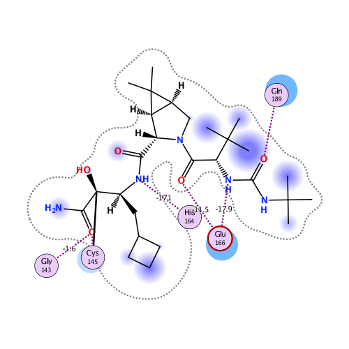 ligand interaction