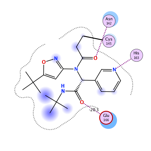 ligand interaction