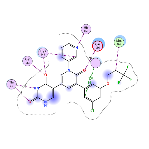 ligand interaction