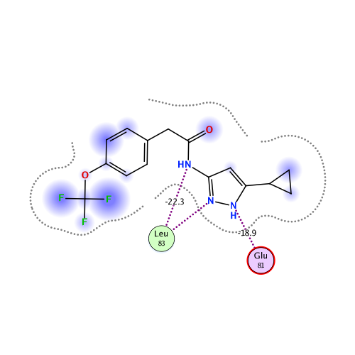 ligand interaction