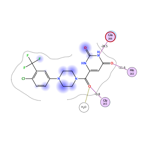 ligand interaction