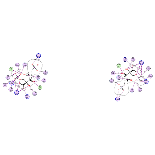 ligand interaction