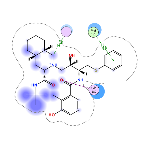 ligand interaction