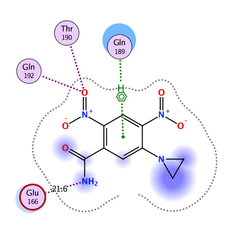 ligand interaction