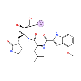 ligand structure