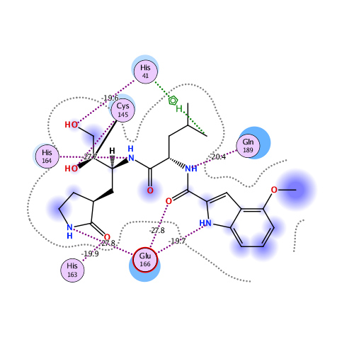 ligand interaction