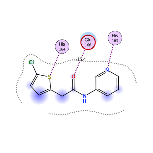 ligand interaction