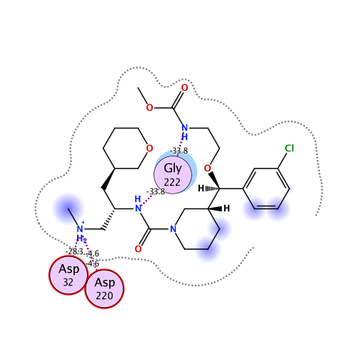 ligand interaction