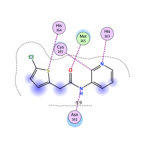 ligand interaction
