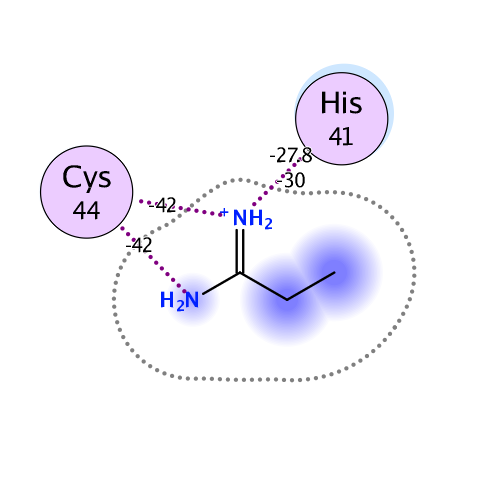 ligand interaction