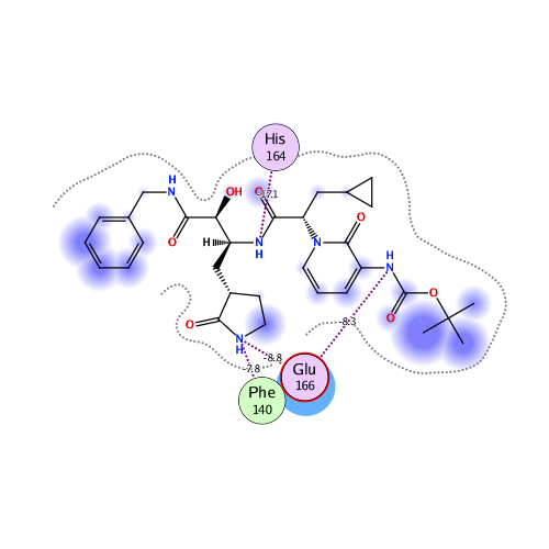 ligand interaction