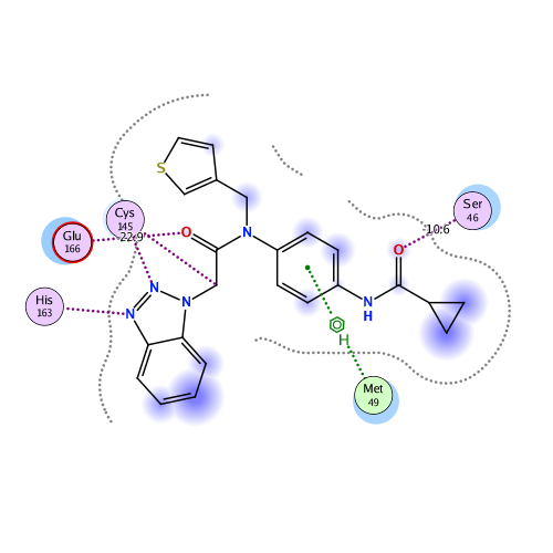ligand interaction