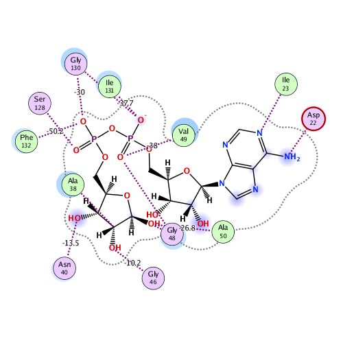 ligand interaction