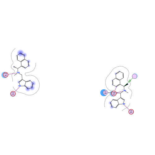 ligand interaction