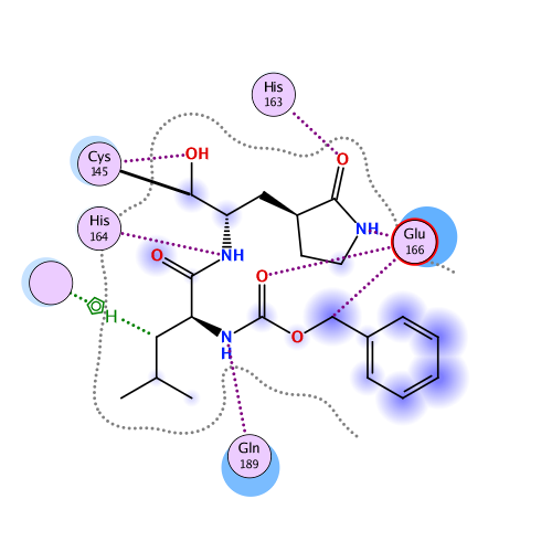 ligand interaction
