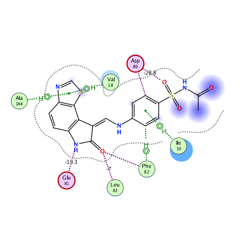 ligand interaction