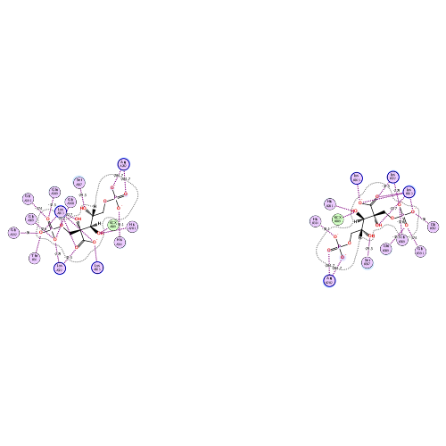 ligand interaction