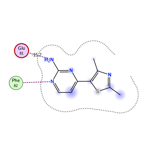 ligand interaction