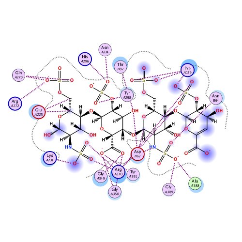 ligand interaction