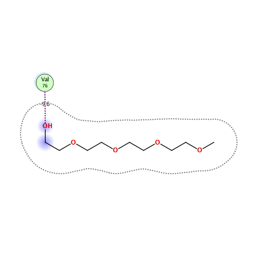 ligand interaction