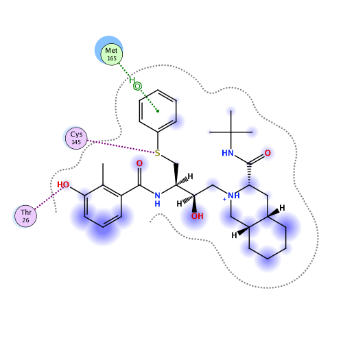 ligand interaction