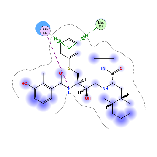 ligand interaction