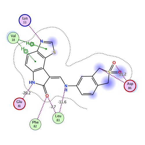 ligand interaction