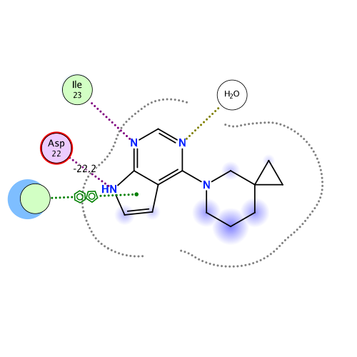 ligand interaction