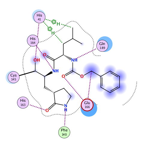 ligand interaction