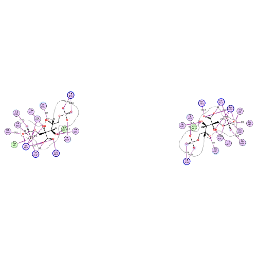 ligand interaction