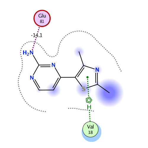 ligand interaction