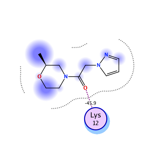 ligand interaction