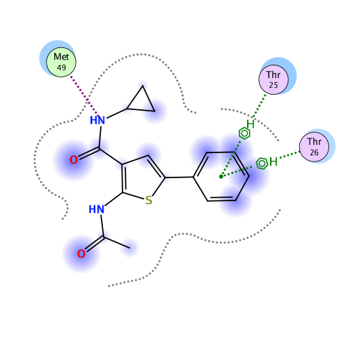 ligand interaction