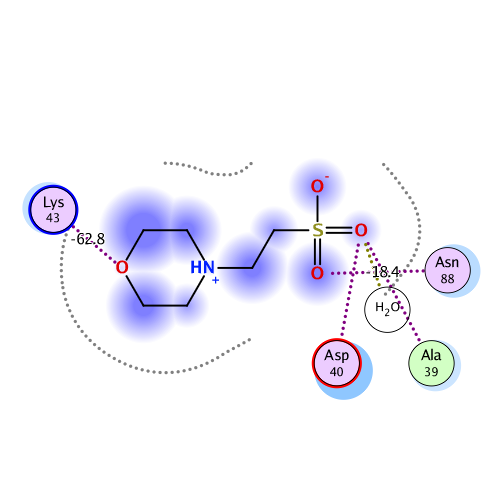 ligand interaction