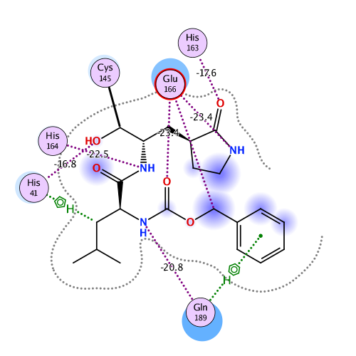 ligand interaction