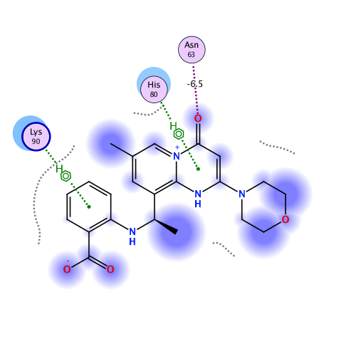 ligand interaction